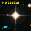 HD 116918