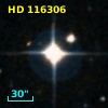 HD 116306