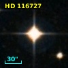 HD 116727