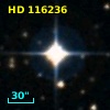 HD 116236