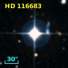 HD 116683
