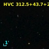 HVC 312.5+43.7+203