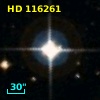 HD 116261