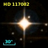 HD 117082