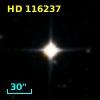 HD 116237