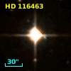 HD 116463