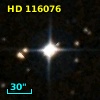 HD 116076