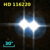 HD 116220