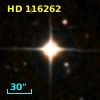 HD 116262