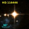 HD 116446