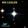 HD 116129