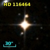 HD 116464