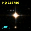 HD 116786