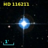 HD 116211