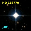 HD 116770