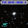 TYC 3647-1036-1