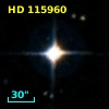 HD 115960