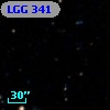 LGG 341