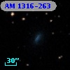 AM 1316-263