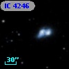 IC 4246
