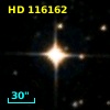HD 116162