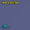 HD 116250