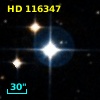 HD 116347