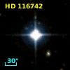 HD 116742