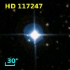 HD 117247