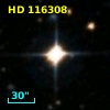 HD 116308