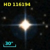 HD 116194
