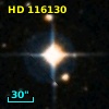 HD 116130