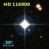 HD 116900