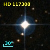 HD 117308