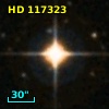 HD 117323