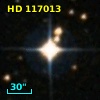 HD 117013