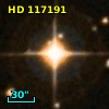 HD 117191