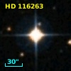 HD 116263