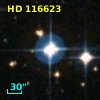 HD 116623