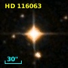 HD 116063