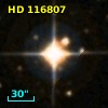 HD 116807