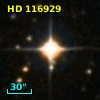 HD 116929