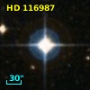 HD 116987