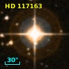 HD 117163