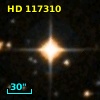 HD 117310