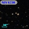 NSV  6230