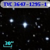 TYC 3647-1295-1