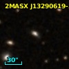 2MASX J13290619-3132077