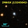 2MASX J13245042-3133379