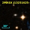 2MASX J13251625-3145239